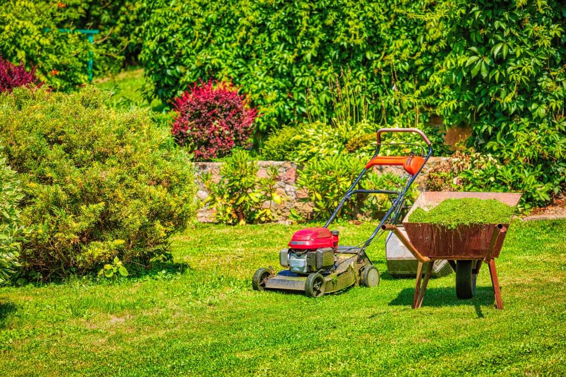 Rasenmäher und Schubkarre im Garten